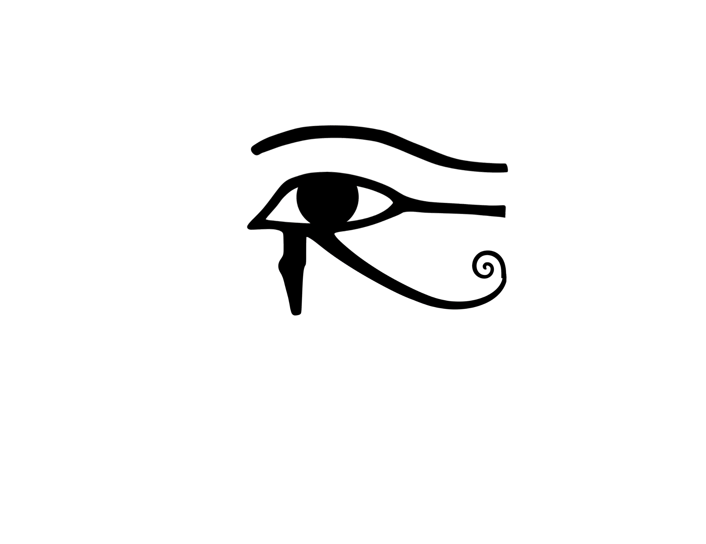 Vision Image